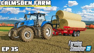 FULL TURNAROUND IN LESS THAN A DAY  Calmsden Farm  Farming Simulator 22  Episode 35 [upl. by Legyn321]