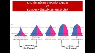 Nüfus Piramitleri ve Özellikleri [upl. by Nivlak]