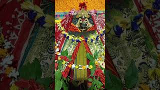 Devi Darshan  Bhavishya Mallika  Kaliyug Devi Maa Biraja shorts bhavishyamalika [upl. by Assenahs]