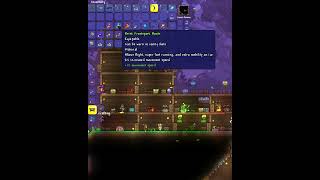 Finally got the Terraspark Boots terraria [upl. by Melisent]