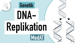 DNA Replikation einfach erklärt  Genetik  MedAT  Biologie [upl. by Hecht]