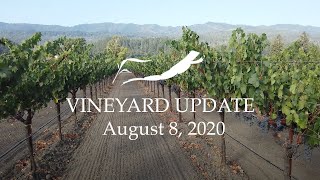 A Deep Dive into Dry Farming—August 8 2020 [upl. by Lehsar]