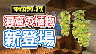 【マイクラ117】洞窟に新植物が追加‼グロウベリー・胞子の花・ドリップリーフなど詳しく解説‼【マインクラフト】SNAPSHOT 21W05A洞窟と崖アップデート [upl. by Grath]