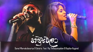 හමුවෙලා Hamuwela Dumal Warnakulasuriya amp Umaria Feat Raj amp Kapilan [upl. by Klemens]