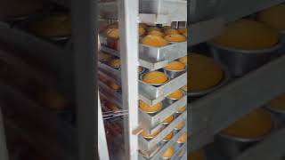 18 Tray Rotary Rack Oven  Barkery Oven Manufacturer In Delhi  Deasel Ratary Oven rotaryrackoven [upl. by Ochs466]