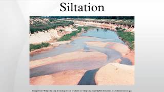 Siltation [upl. by Card]