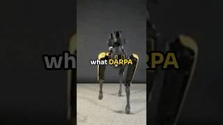 Ever wonder what DARPA is up to DARPA [upl. by Aizirtap168]