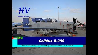 Calidus B250 – Como Brasil exporta tecnología aeronáutica en el mundo [upl. by Geno]