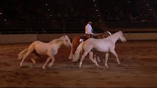 2016 National Western Stock Show Freestyle Reining  Dan James [upl. by Yraillih]