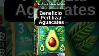 Beneficios Increíbles de Fertilizar tus Plantas de Aguacate 🌱🍃 [upl. by Roselani591]