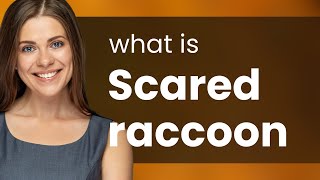 Understanding quotScared Raccoonquot An English Phrase Explained [upl. by Annail551]