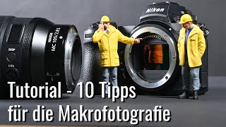 10 Tipps für Makrofotografie  diese 10 Basics solltest Du kennen [upl. by Yhtomit]