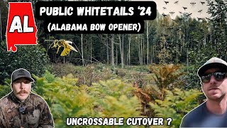 Alabama Bow Opener Alabama Public Whitetails 24 [upl. by Bagger]