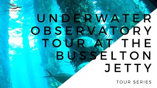 Busselton Jetty Tour Series Underwater Observatory Tour [upl. by Nothsa]