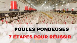 7 Etapes pour Réussir lElevage des POULES PONDEUSES en Afrique [upl. by Nosnaj997]