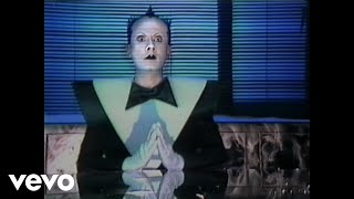 Klaus Nomi  Simple Man Official Video [upl. by Itra]