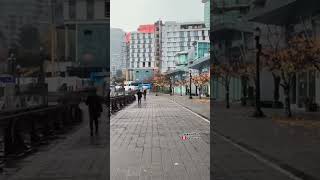 Along the Seawall Path 🇨🇦 coalharbour downtown downtownvancouver vancouver shorts [upl. by Woodhouse]