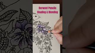 Purple Flowers with derwentpencils adultcoloringart adultcoloringforbeginners [upl. by Oicangi]