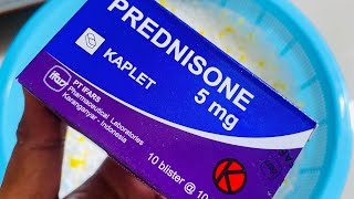 What is Prednisone 5mg Belajar sambil bermain Kardus seru dengan Prednisone kortikosteroid [upl. by Henarat]