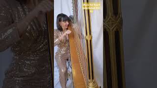 Music by V Meinero for Erard Harp tuned 432hz  Harp Care harp music foryou perte 432hz care [upl. by Aicenav13]