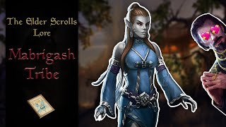 Morrowinds Seductress Tribe the Mabrigash Ashlanders  The Elder Scrolls Lore [upl. by Idnerb]