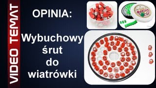 Wybuchowy śrut do wiatrówki  Opinia [upl. by Aizat]