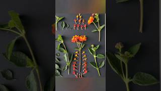 Botanical art using plants I find around Lantana art botanical flowerart smallbusiness [upl. by Tallie]