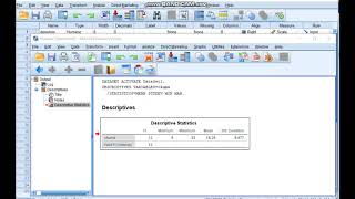 SPSS BETİMSEL İSTATİSTİK Tez raporu yazımı [upl. by Nic]