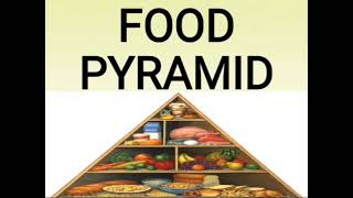 Food pyramid  food pyramid in nutrition [upl. by Leirea257]