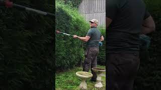 FREE Garden Clearance And Transformation FAST gardening gardenmakeover satisfying [upl. by Eisdnyl549]