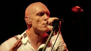 Midnight Oil  Beds Are Burning Live 2005 [upl. by Ramu]