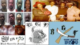 Black Guerilla Family BGF Prison Gang History [upl. by Esinaej]