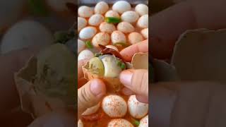 Egg china video shorts viralvideo shortsfeed [upl. by Hgielsel666]