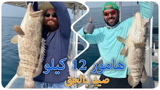 Fishing in Qatar  Big Grouper 12KG الصيد في قطر ، هامور 12 كيلو صيد بالجق [upl. by Perlis490]