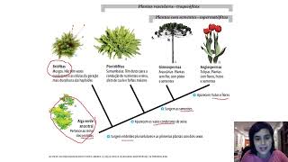 Cladograma Vegetal e Briófitas [upl. by Freeman]