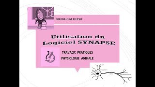 Utilisation Logiciel Synapse [upl. by Sandro]