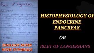 HISTOPHYSIOLOGY OF ENDOCRINE PANCREAS IN HINDI ISLET OF LANGERHANS zoologynotes insulin vbu [upl. by Mialliw]