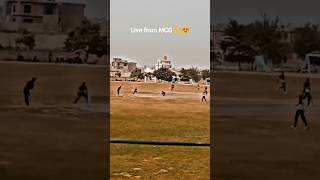 Live from MCG  Melbourne Cricket Ground  shorts melbourne cricketmatch live youtube [upl. by Akinihs112]