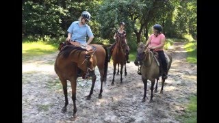 Ausreiten Wanderreiten in der Lüneburger Heide [upl. by Laureen]