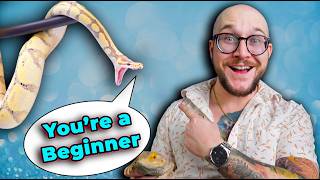 What Your Pet Reptile Says About You [upl. by Sadie]