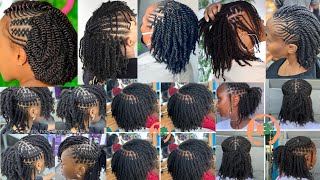 Extremely Stylish amp Unique Natural Twist Braids Hairstyles for African American WomenTwist Braids [upl. by Haimrej]