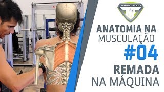 Diferentes pegadas Remada na Máquina  Trapézio  Romboides  Latíssimo  Anatomia na Musculação 4 [upl. by Eads]