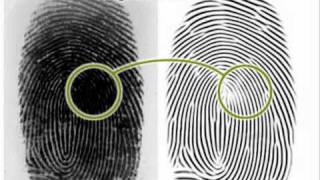 Fingerprint Matching Technology [upl. by Niuq886]