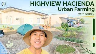 🌿 Urban Farming amp Bungalow Living in Highview Hacienda  A Day in Sto Rosario Magalang Pampanga 🌄 [upl. by Carmena]