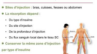 Pharmacologie Insulines et analoguesCours commenté [upl. by Devi]