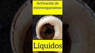 Activación de microorganismos líquidos [upl. by Snilloc]