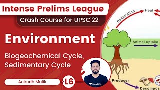 Photosynthesis  Calvin Cycle [upl. by Paxon680]