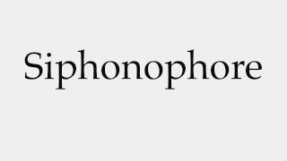 How to Pronounce Siphonophore [upl. by Rairb]