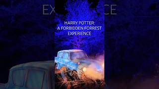 Expecto Patronim harrypotter hpforbiddenforestexperience austin texas [upl. by Uticas]