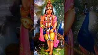 Vetrivel Muruganuku🙏🙏🙏 murugan tamil telugu devotional [upl. by Joni]